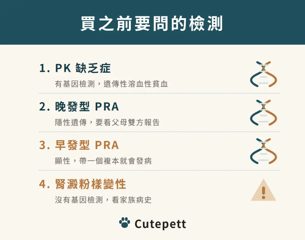 阿比西尼亞貓買之前要問的檢測：1 PK 缺乏症；2 晚發型 PRA；3 早發型 PRA；4 腎澱粉樣變性沒有基因檢測
