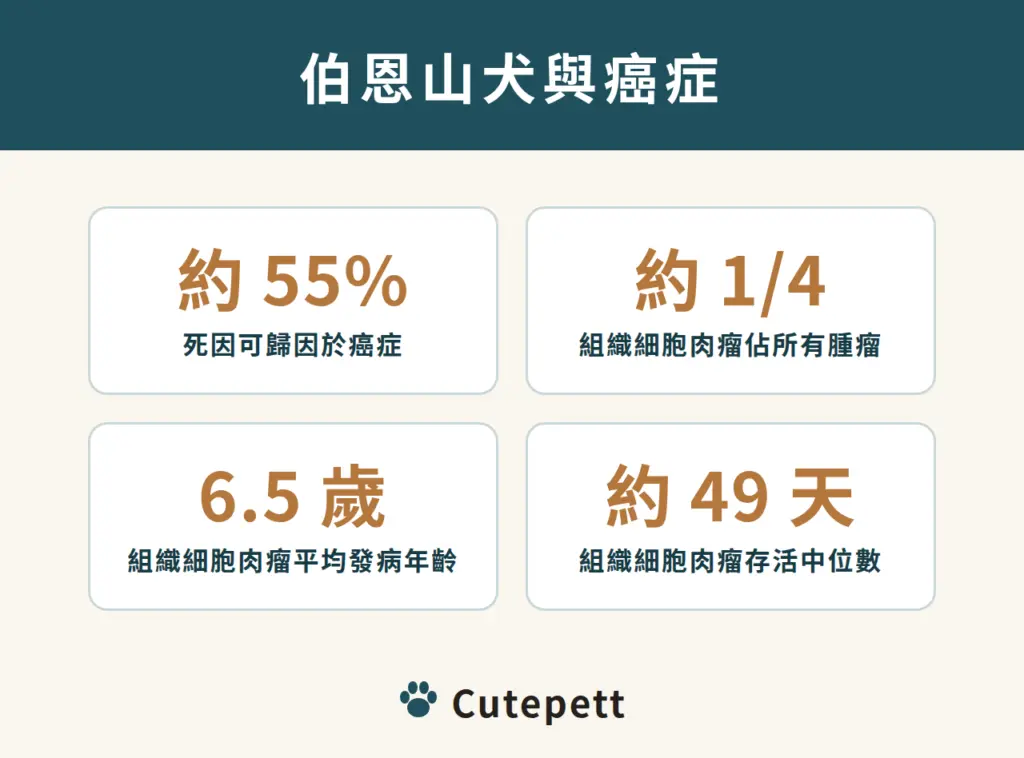 伯恩山犬與癌症：約 55% 死因為癌症、組織細胞肉瘤佔腫瘤約四分之一、平均 6.5 歲發病、確診後存活中位數約 49 天