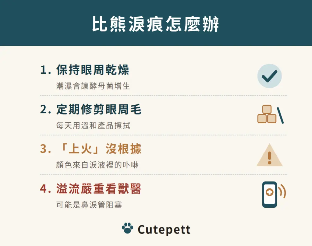 比熊淚痕怎麼辦：保持眼周乾燥、修剪眼周毛、上火說法沒根據、溢流嚴重看獸醫