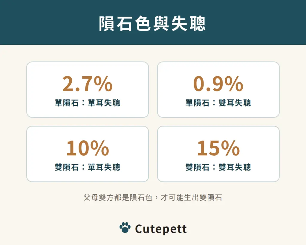 單隕石與雙隕石邊境牧羊犬的單耳與雙耳失聰比例