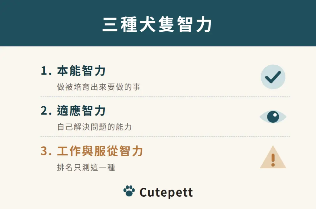 犬隻智力的三種類型，智商排名只測工作與服從智力