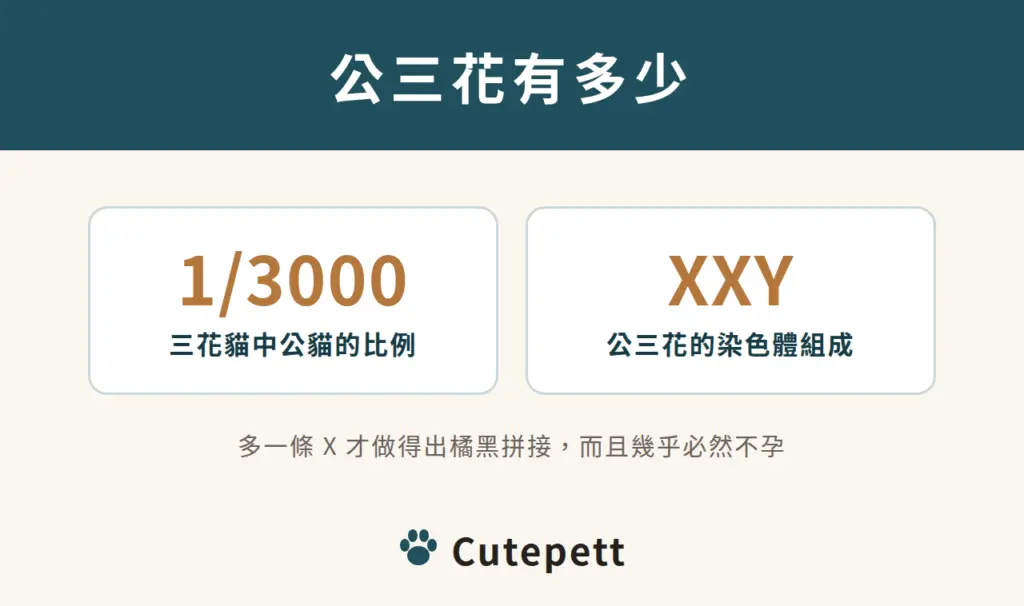 公三花：每 3,000 隻三花貓約一隻是公的，染色體是 XXY，多一條 X 才有橘黑拼接，幾乎必然不孕