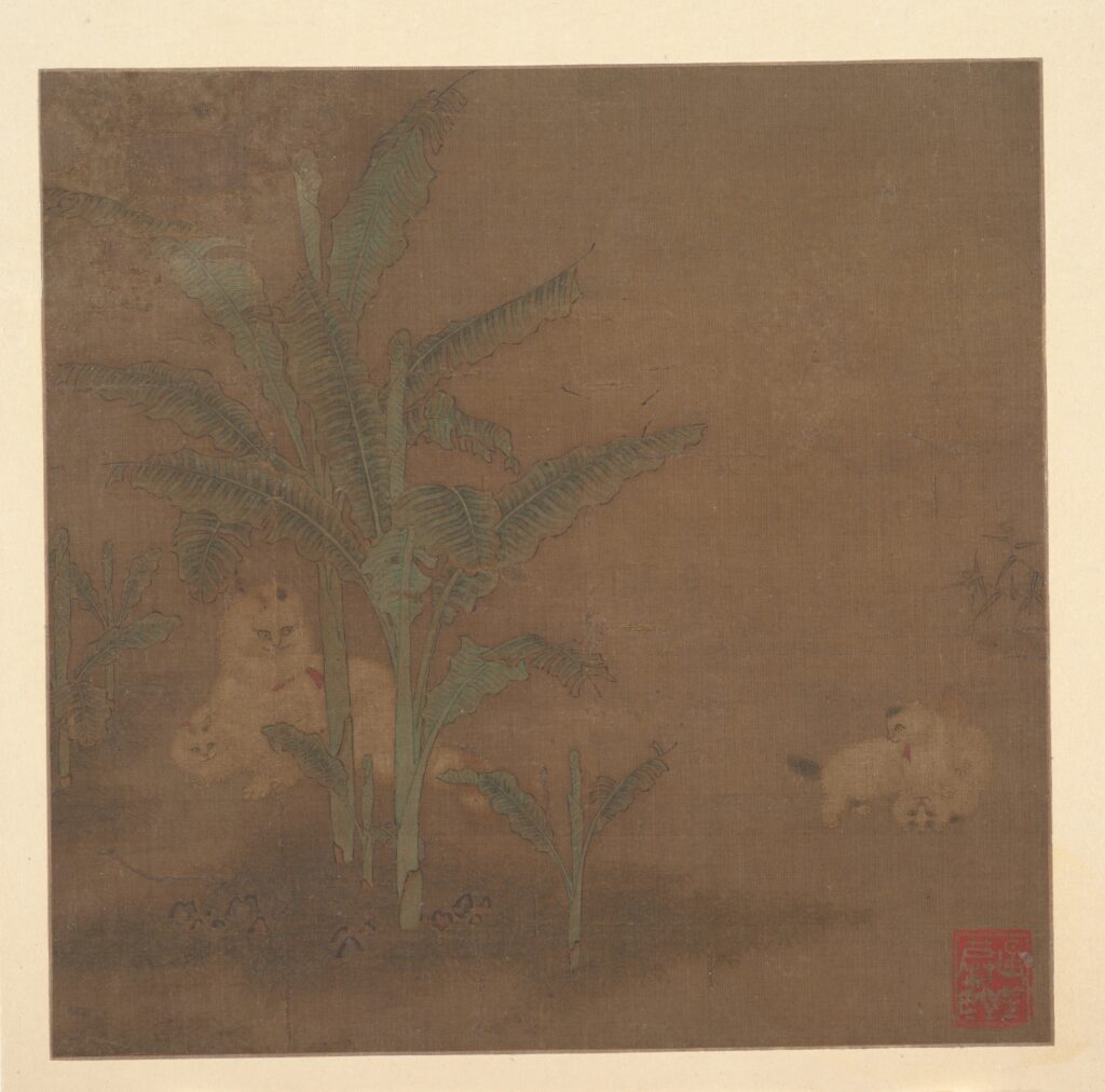 明代畫作,幾隻貓在芭蕉樹下
