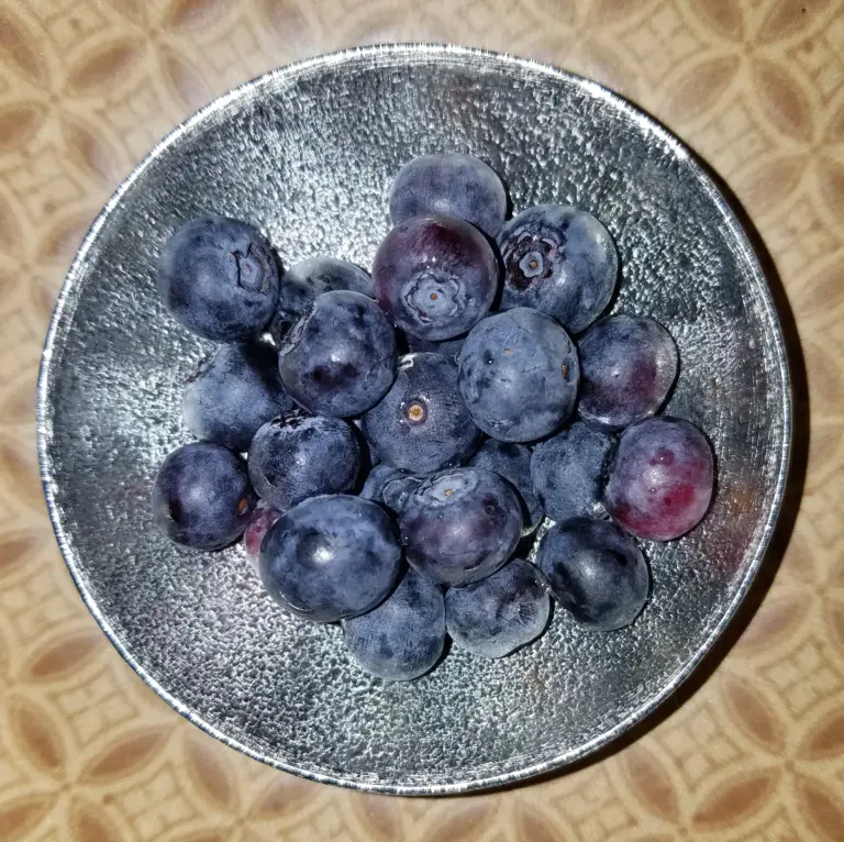 銀色小碗裡裝著二十多顆新鮮藍莓,表面帶有白色果粉