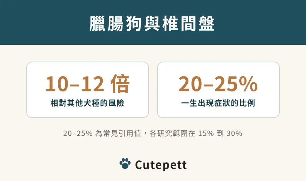 臘腸狗 IVDD 相對風險是其他犬種 10 到 12 倍，一生出現症狀常見引用值 20 到 25%