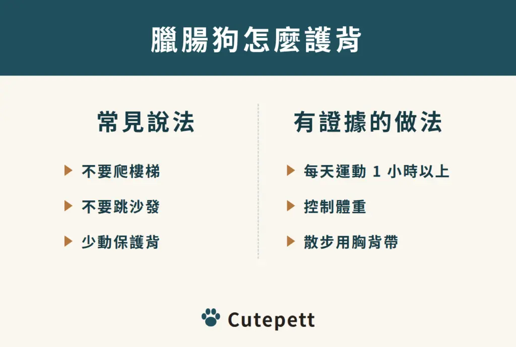 常見說法與研究結果對照：限制樓梯跳躍沒有證據，運動與控制體重才有證據