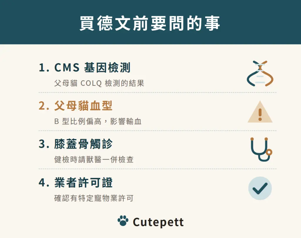 買德文捲毛貓前要問的事:1 CMS 基因檢測;2 父母貓血型;3 膝蓋骨觸診;4 業者許可證