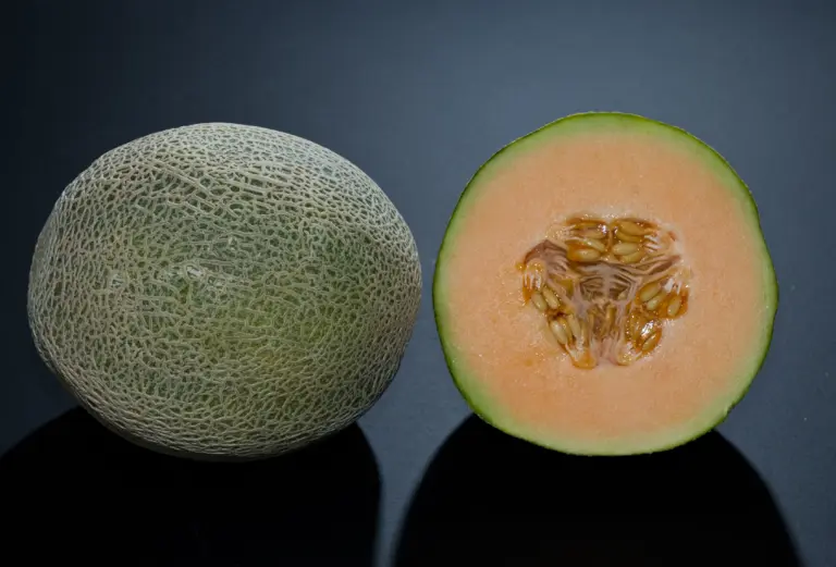 一顆完整的網紋甜瓜與切開的半顆,可以看到橙色果肉與中間的籽