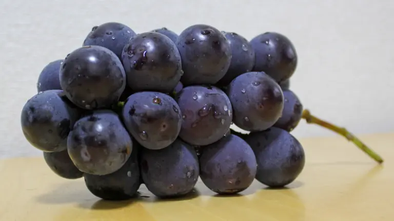 一串巨峰葡萄