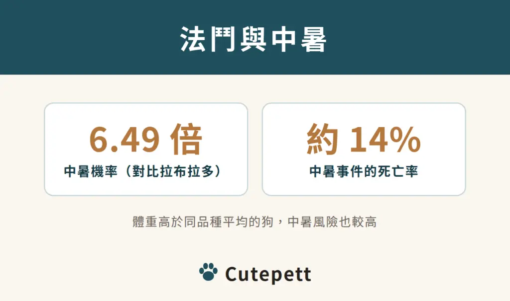 法國鬥牛犬中暑機率是拉布拉多的 6.49 倍，中暑事件的死亡率約 14%
