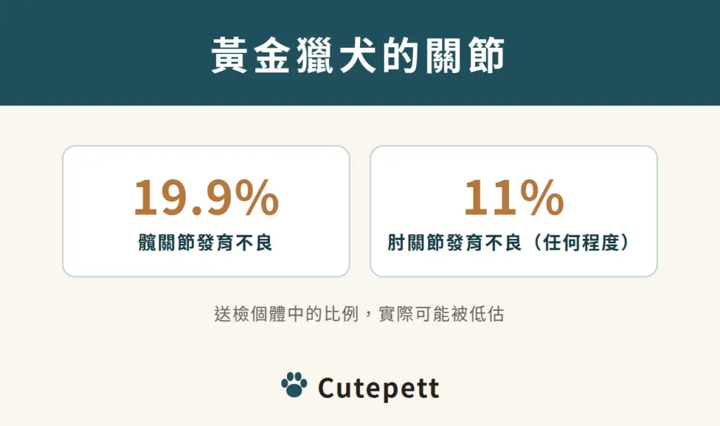 黃金獵犬 OFA 送檢資料：髖關節發育不良 19.9%、肘關節發育不良 11%