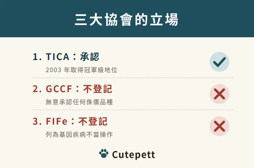 三大協會對曼赤肯的立場：TICA 承認；GCCF 不登記；FIFe 不登記