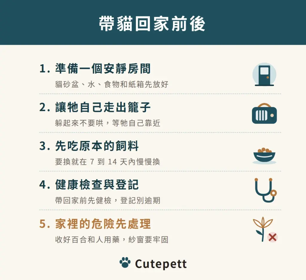 帶貓回家前後要做的 5 件事：準備安靜房間、讓貓自己走出籠子、先吃原本的飼料、帶回家前先健檢、登記別逾期、收好百合和人用藥並把紗窗裝牢