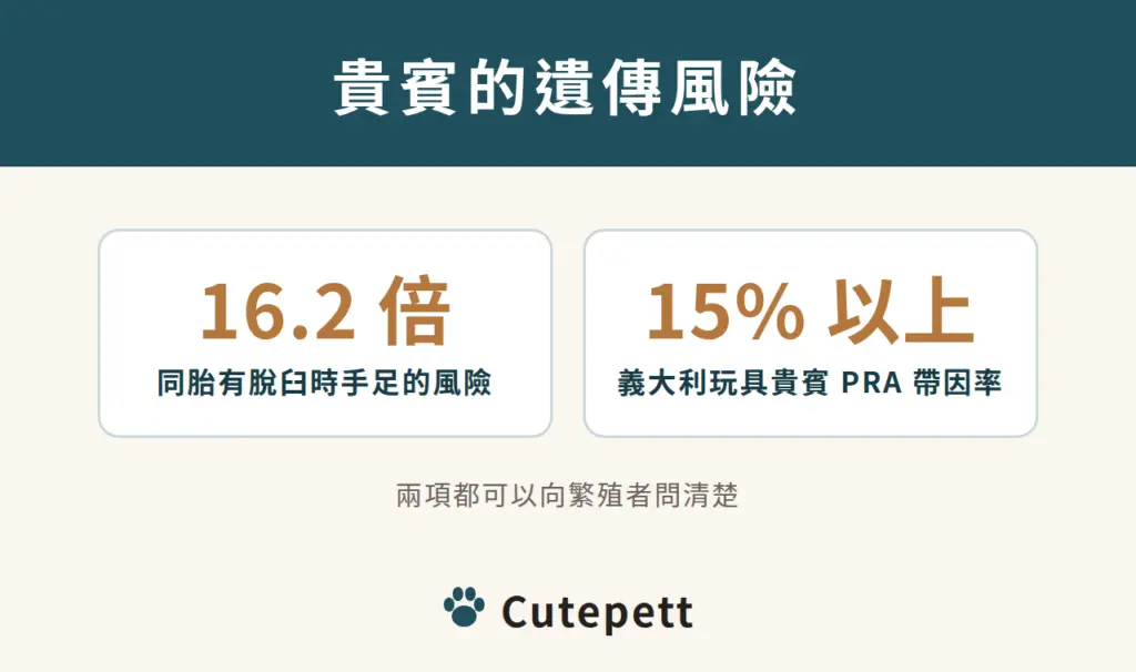 玩具貴賓：同胎有膝蓋骨脫臼時手足風險 16.2 倍；義大利調查 PRA 帶因率超過 15%