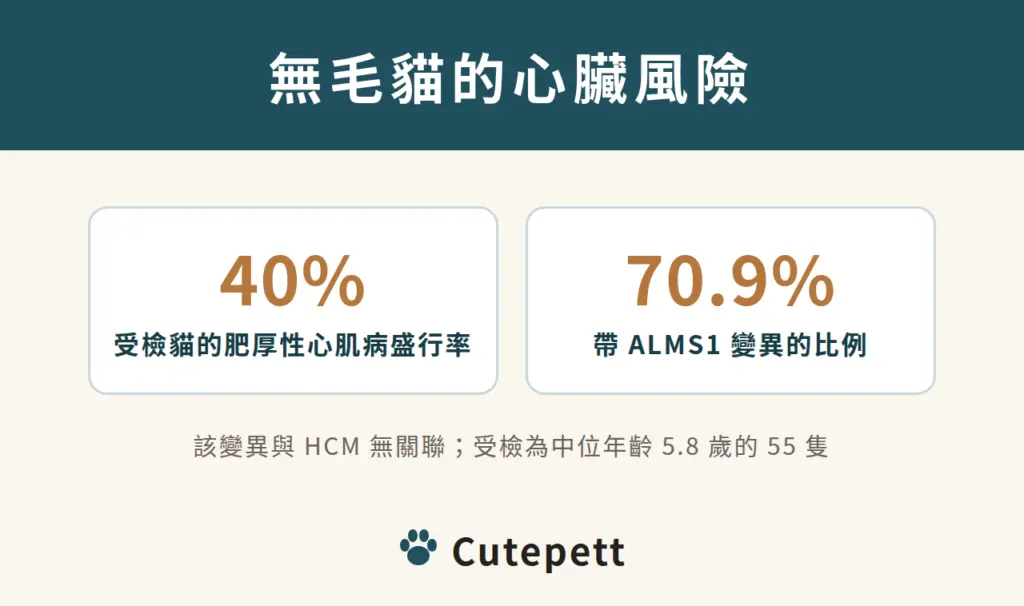 無毛貓的心臟風險：受檢貓肥厚性心肌病盛行率 40%；70.9% 帶 ALMS1 變異，但該變異與 HCM 無關聯