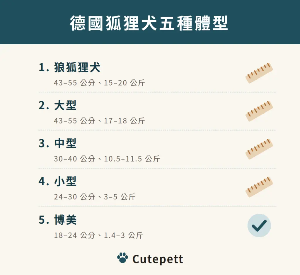 德國狐狸犬的五個變種與肩高體重，博美是最小的一種