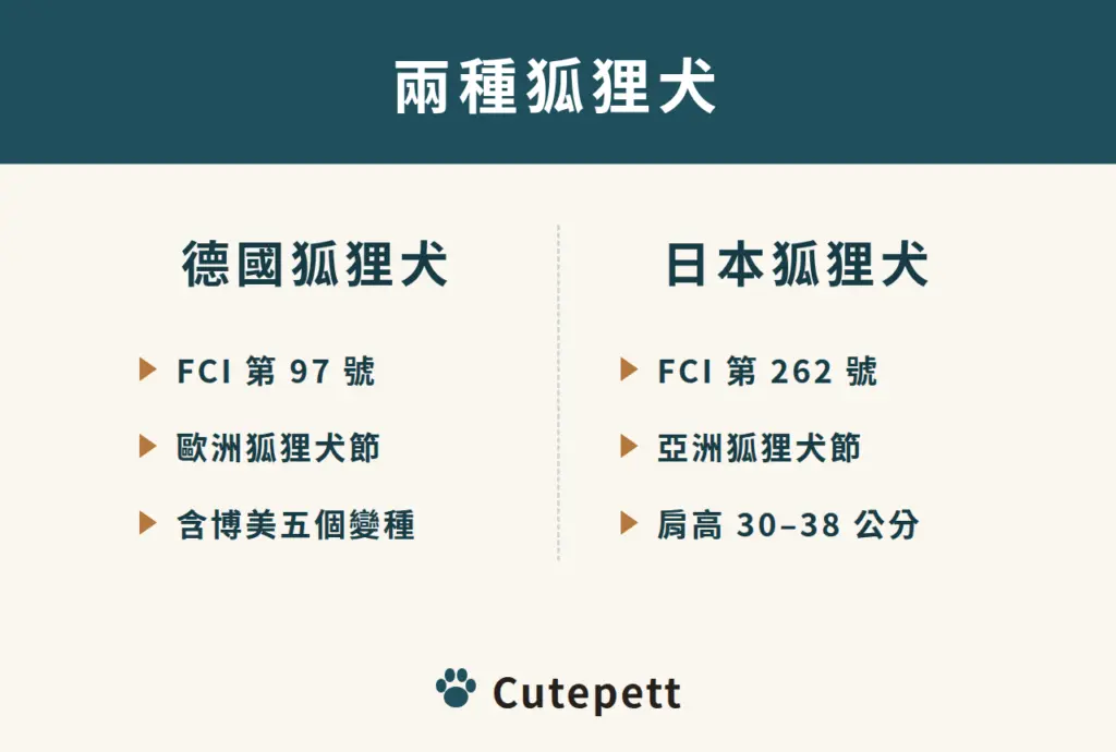 德國狐狸犬與日本狐狸犬的 FCI 標準編號與分節