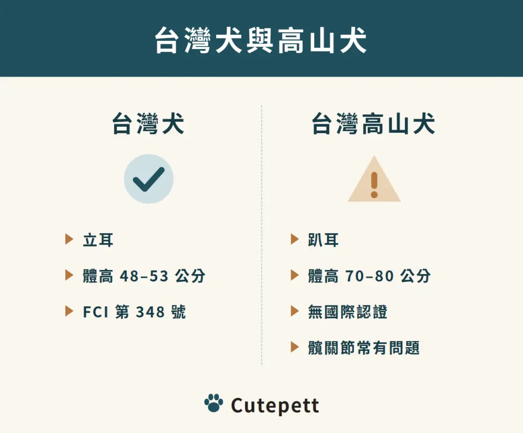 台灣犬與台灣高山犬比較：台灣犬立耳、體高 48 到 53 公分、有 FCI 第 348 號標準；高山犬趴耳、體高 70 到 80 公分、無國際認證、髖關節常有問題