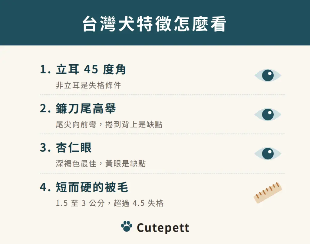 台灣犬的四個特徵：45 度立耳、高舉的鐮刀尾、深褐色杏仁眼、短而硬的貼身被毛