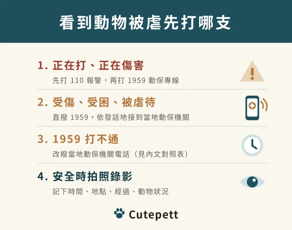 看到動物被虐先打哪支電話：正在打或正在傷害動物，先打 110 報警，再打 1959 動保專線；動物受傷、受困或被虐待，直撥 1959，會依發話地接到當地動保機關；1959 打不通，改撥當地動保機關電話；確保自身安全時拍照錄影，記下時間、地點、經過和動物狀況