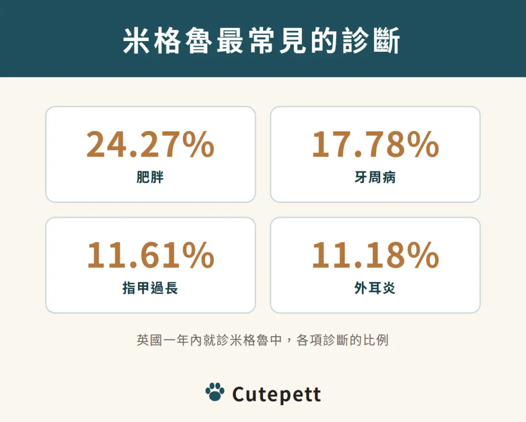 米格魯最常見的診斷：肥胖 24.27%、牙周病 17.78%、指甲過長 11.61%、外耳炎 11.18%