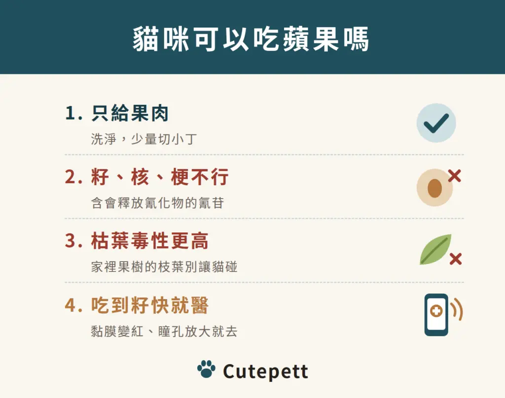 貓咪可以吃蘋果嗎：1 只給果肉；2 籽、核、梗不行；3 枯葉毒性更高；4 吃到籽快就醫