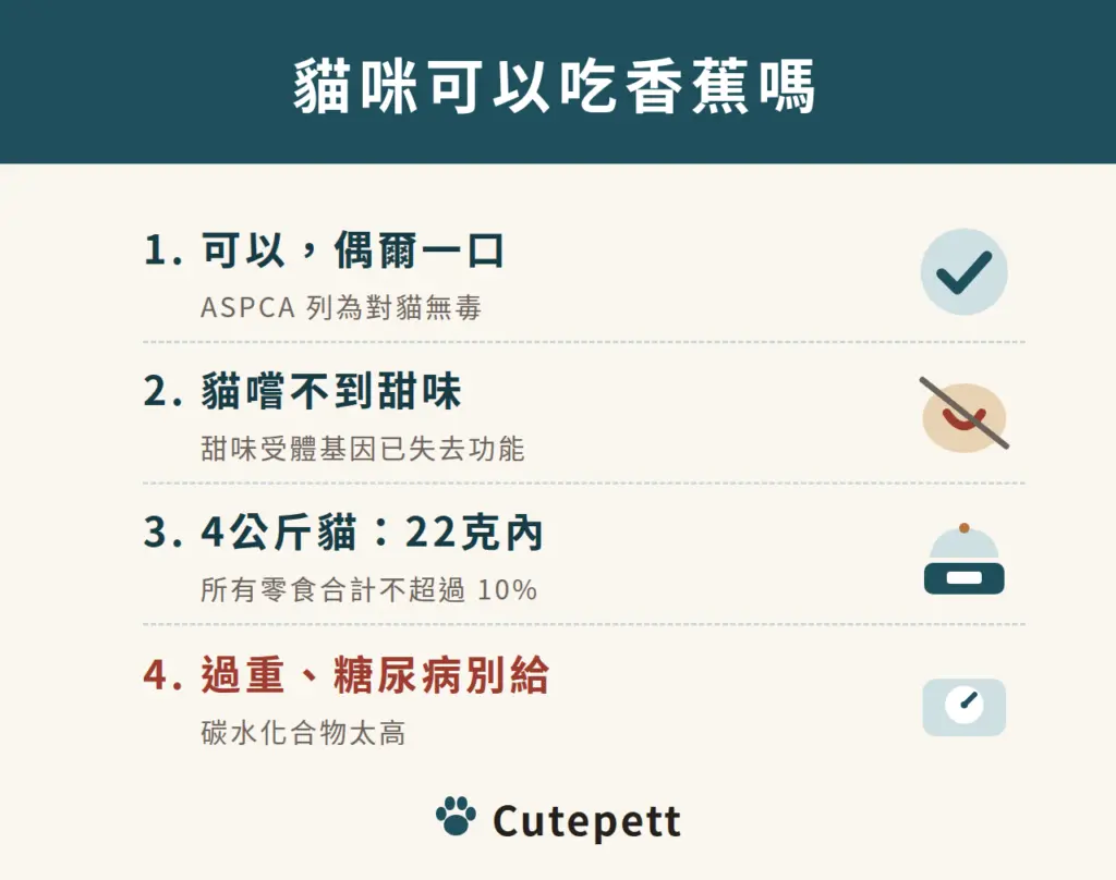 貓咪可以吃香蕉嗎:1 可以,偶爾一口;2 貓嚐不到甜味;3 4公斤貓:22克內;4 過重、糖尿病別給
