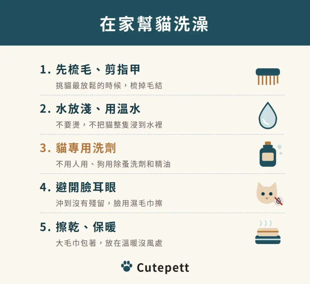 在家幫貓洗澡的步驟：挑貓放鬆的時候先梳毛剪指甲，水放淺用溫水不要燙也不把貓浸到水裡，用貓專用洗劑不用人用、狗用除蚤洗劑和精油，避開臉耳眼並沖到沒有殘留，最後用大毛巾包著擦乾放在溫暖沒風的地方
