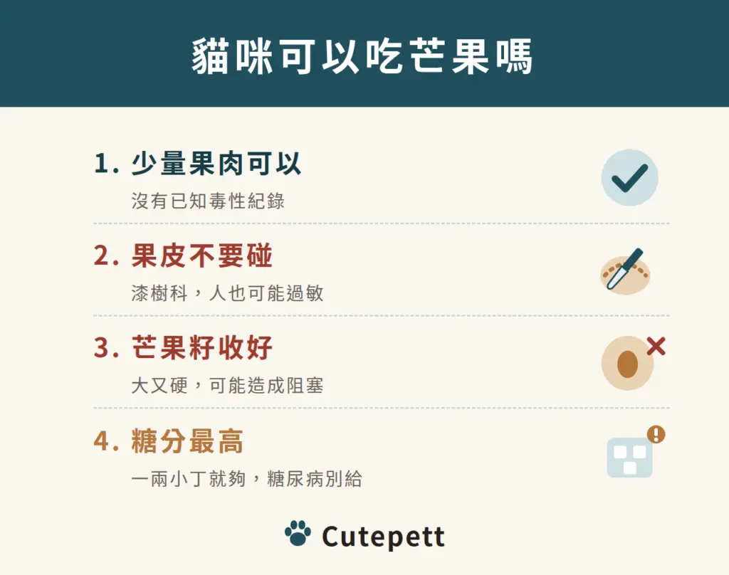 貓咪可以吃芒果嗎：1 少量果肉可以；2 果皮不要碰；3 芒果籽收好；4 糖分最高