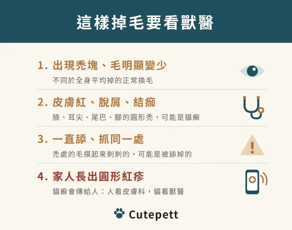 這樣掉毛要看獸醫：一、出現禿塊、毛明顯變少，不同於全身平均掉的正常換毛；二、皮膚紅、脫屑、結痂，臉、耳尖、尾巴、腳的圓形禿可能是貓癬；三、一直舔、抓同一處，禿處的毛摸起來刺刺的，可能是被舔掉的；四、家人長出圓形紅疹，貓癬會傳給人，人看皮膚科、貓看獸醫