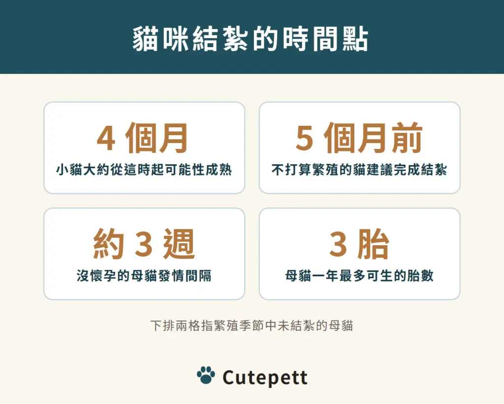 貓咪結紮的時間點：小貓約 4 個月起可能性成熟；建議 5 個月前完成結紮；未懷孕母貓約每 3 週發情一次；一年最多可生 3 胎