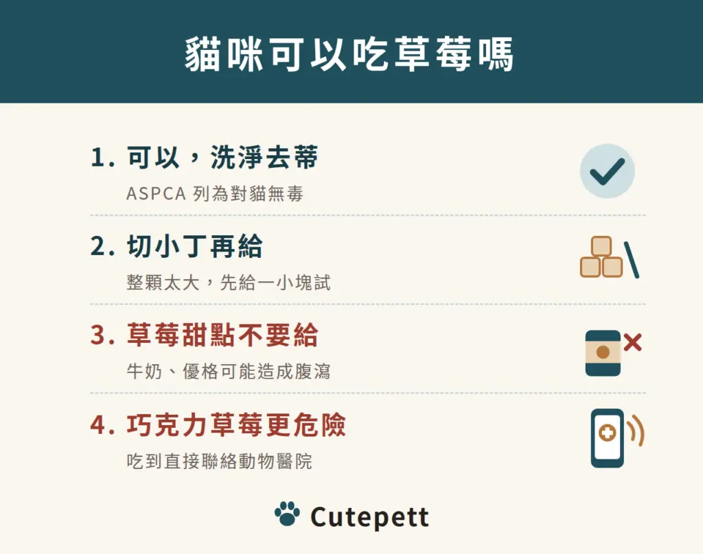 貓咪可以吃草莓嗎：1 可以，洗淨去蒂；2 切小丁再給；3 草莓甜點不要給；4 巧克力草莓更危險
