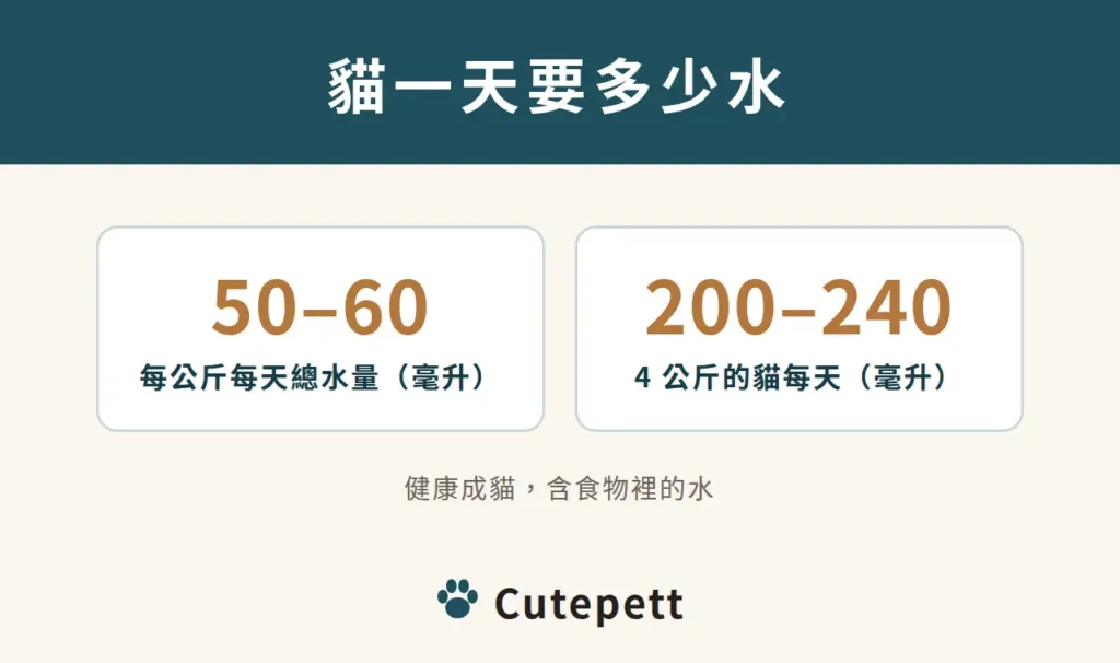 健康成貓每天總水量約每公斤 50 到 60 毫升，4 公斤的貓約 200 到 240 毫升，含食物裡的水