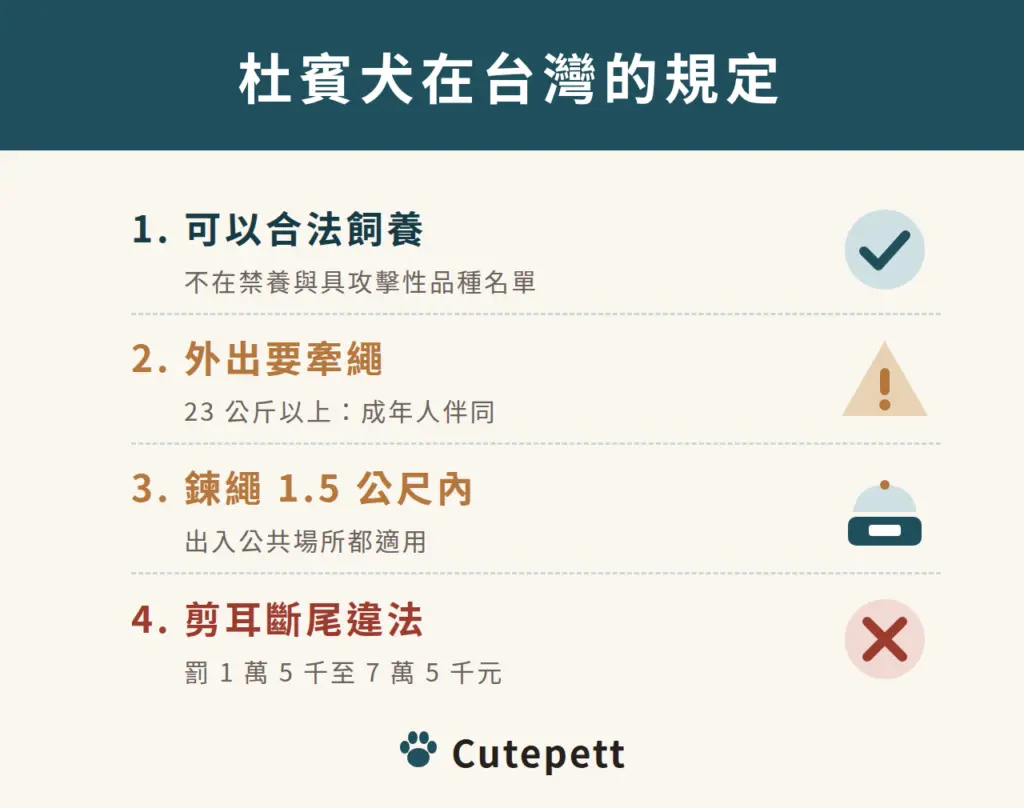 杜賓犬在台灣的規定：可以合法飼養；23 公斤以上外出須成年人伴同；鍊繩 1.5 公尺內；剪耳斷尾違法