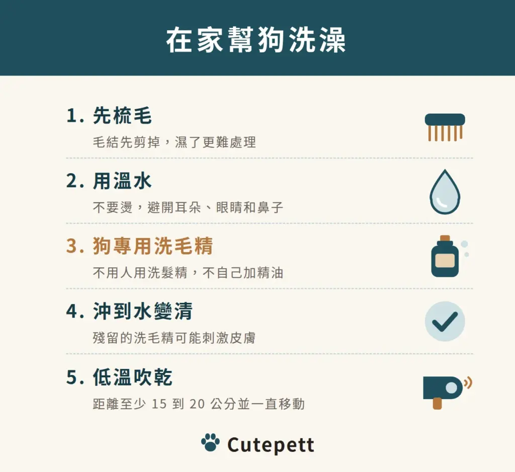 在家幫狗洗澡的步驟：先梳毛並剪掉毛結，用溫水並避開耳朵眼睛鼻子，用狗專用洗毛精不用人用洗髮精也不加精油，沖到水變清，低溫吹乾並保持 15 到 20 公分距離
