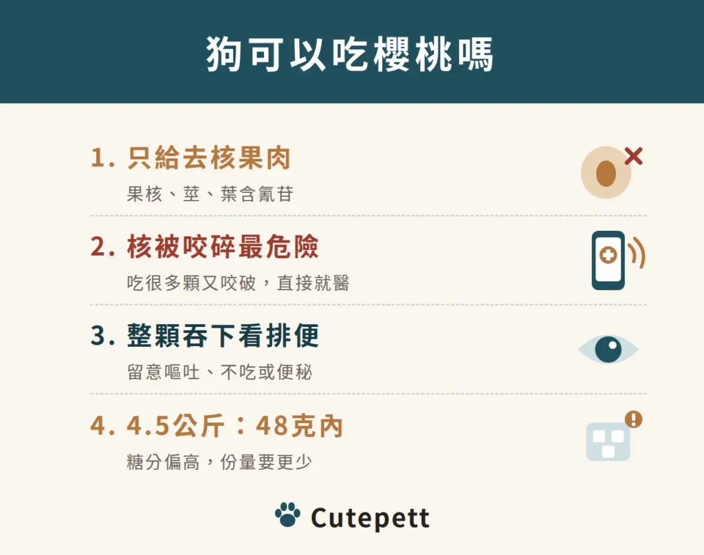 狗可以吃櫻桃嗎：1 只給去核果肉；2 核被咬碎最危險；3 整顆吞下看排便；4 4.5公斤：48克內