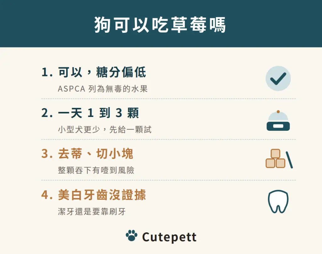 狗可以吃草莓嗎：1 可以，糖分偏低；2 一天 1 到 3 顆；3 去蒂、切小塊；4 美白牙齒沒證據