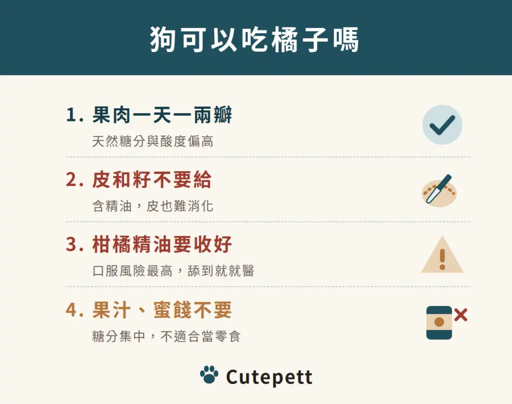 狗可以吃橘子嗎：1 果肉一天一兩瓣；2 皮和籽不要給；3 柑橘精油要收好；4 果汁、蜜餞不要
