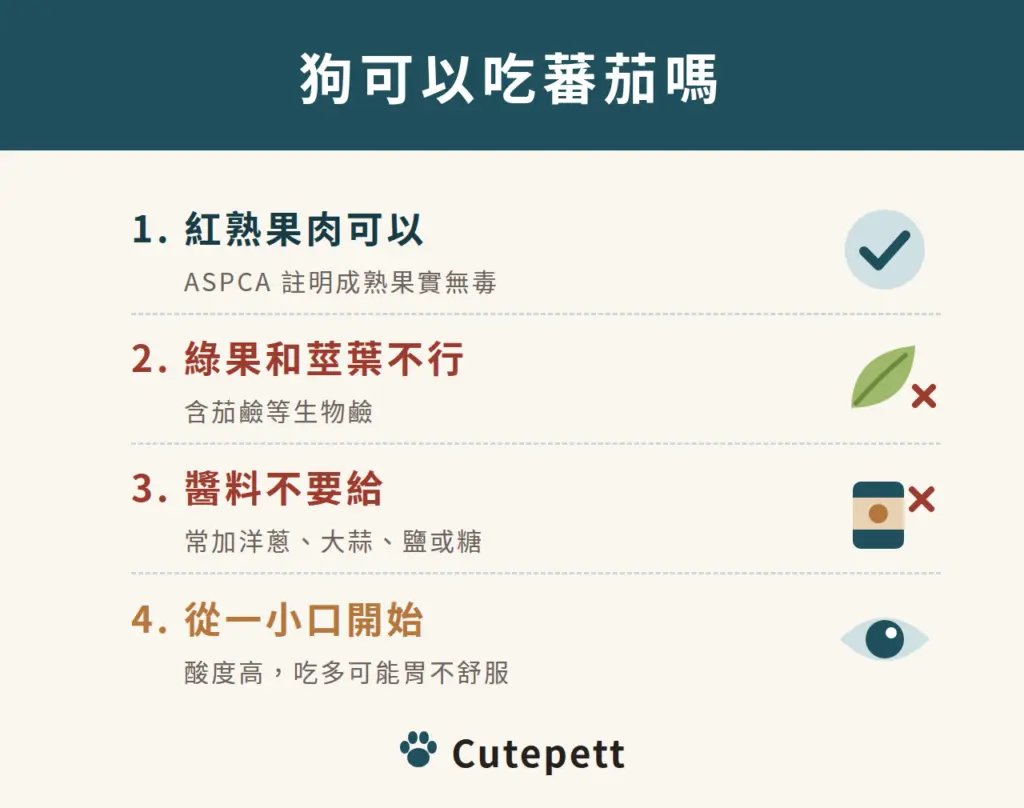 狗可以吃蕃茄嗎：1 紅熟果肉可以；2 綠果和莖葉不行；3 醬料不要給；4 從一小口開始