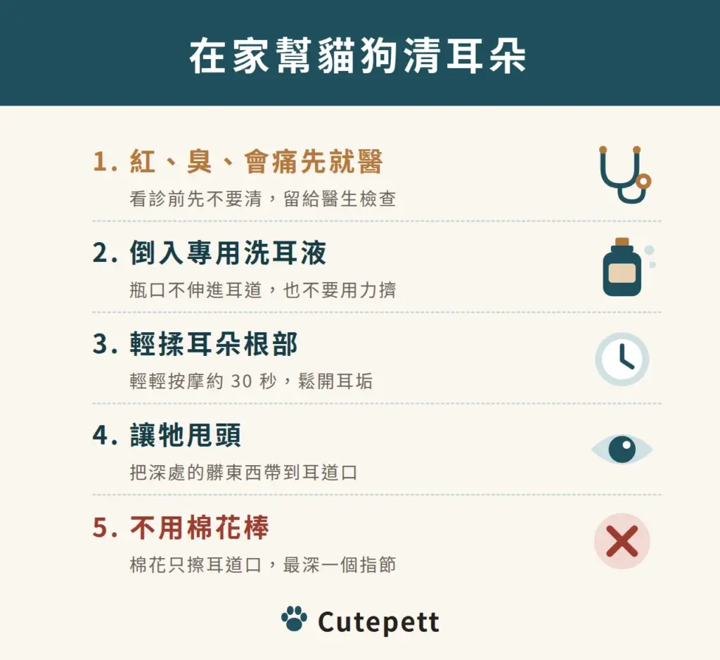 在家幫貓狗清耳朵的步驟：耳朵紅、臭或會痛先就醫，看診前先不要清；倒入專用洗耳液，瓶口不伸進耳道也不用力擠；輕揉耳朵根部約 30 秒鬆開耳垢；讓牠甩頭把深處的髒東西帶到耳道口；不用棉花棒，棉花只擦耳道口，最深一個指節