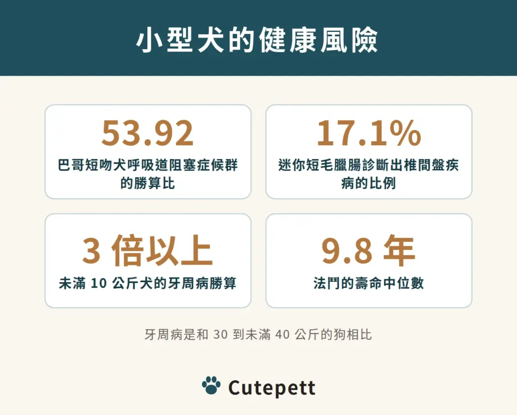 小型犬的健康風險:巴哥短吻犬呼吸道阻塞症候群的勝算比 53.92;迷你短毛臘腸經獸醫診斷椎間盤疾病的比例 17.1%;未滿 10 公斤犬的牙周病勝算是 30 到未滿 40 公斤犬的 3 倍以上;法鬥的壽命中位數 9.8 年