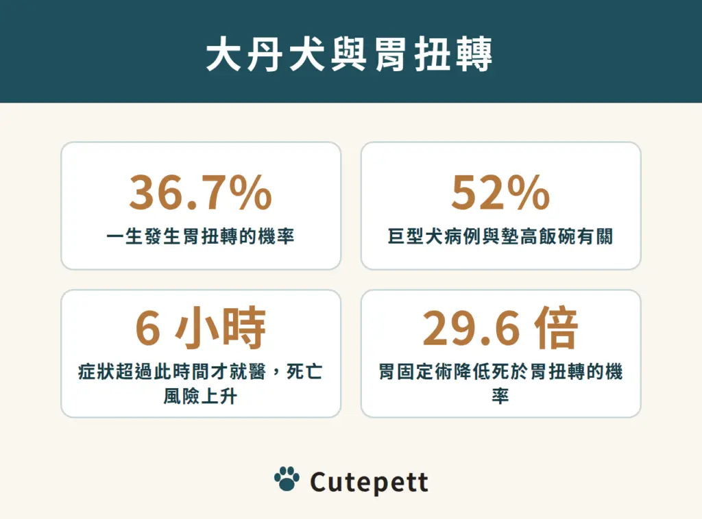 大丹犬與胃扭轉：一生發生機率 36.7%；巨型犬約 52% 病例與墊高飯碗有關；症狀超過 6 小時才就醫死亡風險上升；預防性胃固定術降低死亡機率約 29.6 倍