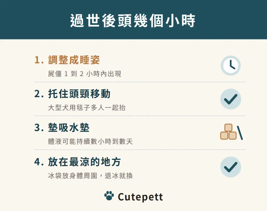 過世後頭幾個小時：趁屍僵前調整成睡姿；托住頭頸移動；墊吸水墊；放在最涼的地方並用冰袋