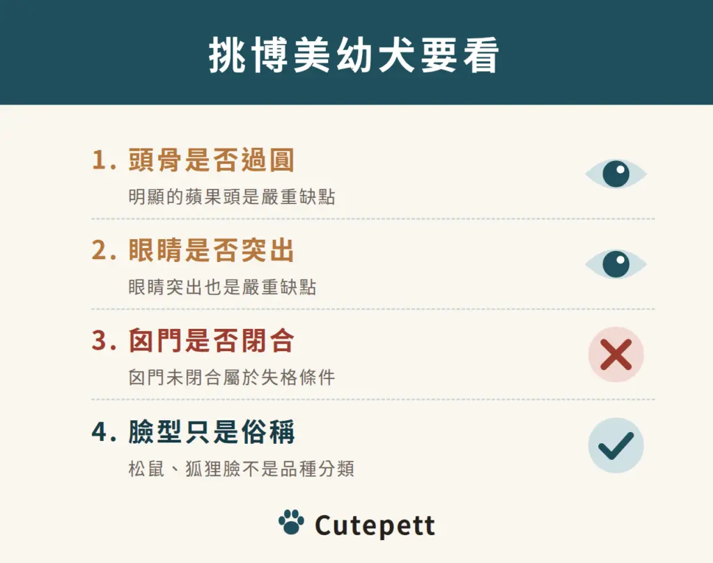 挑博美幼犬要看：頭骨是否過圓；眼睛是否突出；囟門是否閉合；松鼠、狐狸臉只是俗稱