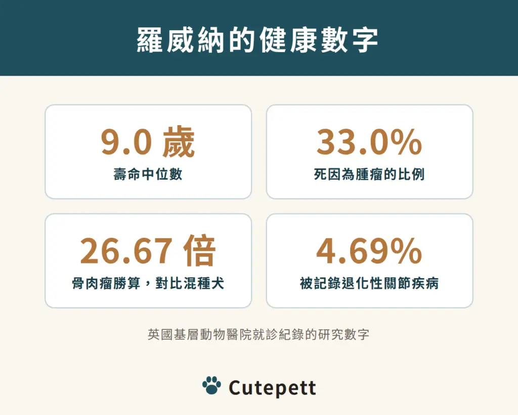 羅威納的健康數字：壽命中位數 9.0 歲；33.0% 死因為腫瘤；罹患骨肉瘤的勝算是混種犬的 26.67 倍；4.69% 被記錄退化性關節疾病