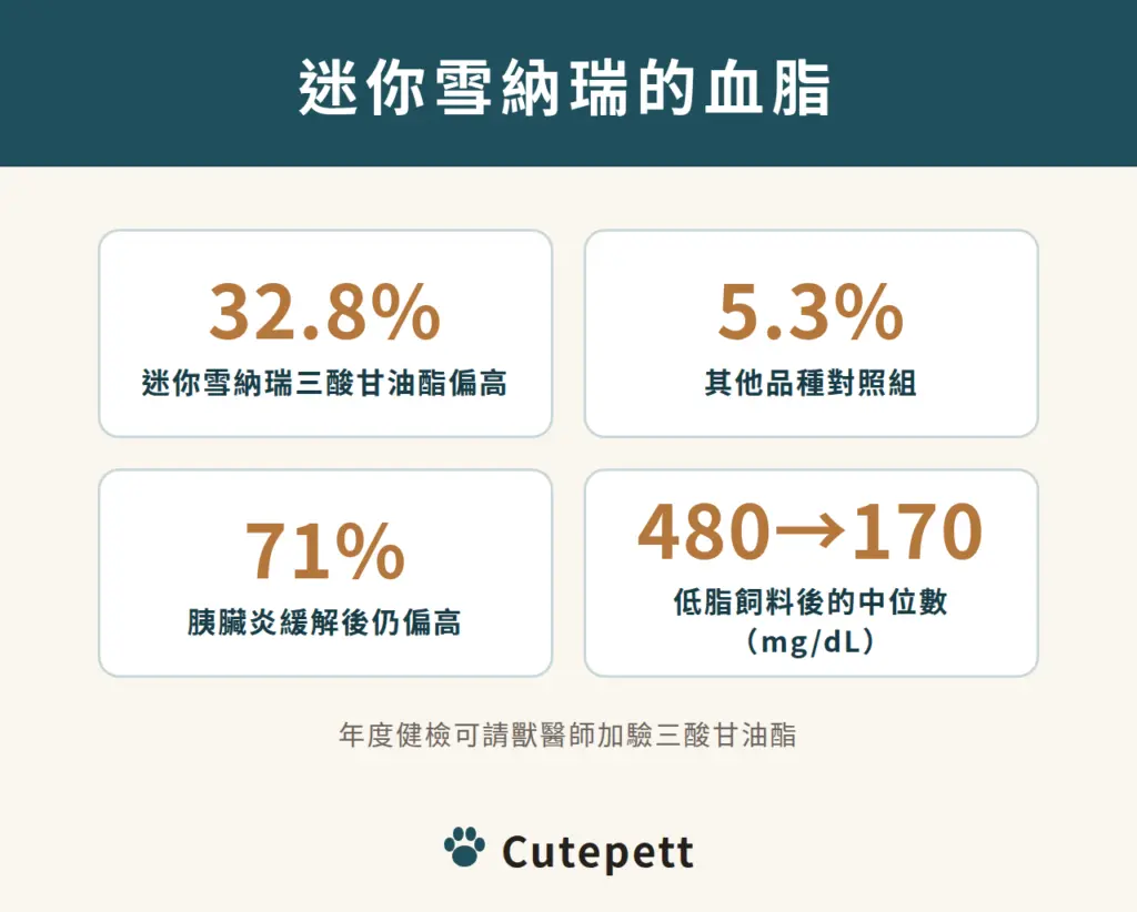 迷你雪納瑞血脂數字：32.8% 三酸甘油酯偏高，其他品種對照組 5.3%；胰臟炎緩解後仍有 71% 偏高；改吃低脂飼料後中位數由約 480 降到約 170 mg/dL