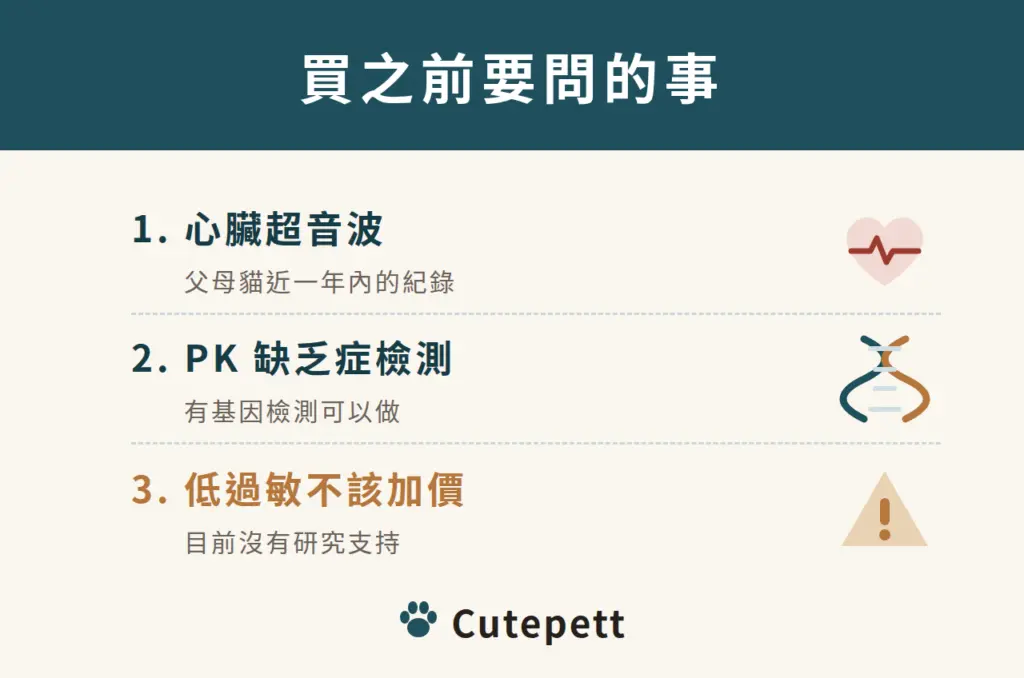 買西伯利亞貓前要問的事：1 心臟超音波；2 PK 缺乏症檢測；3 低過敏不該加價