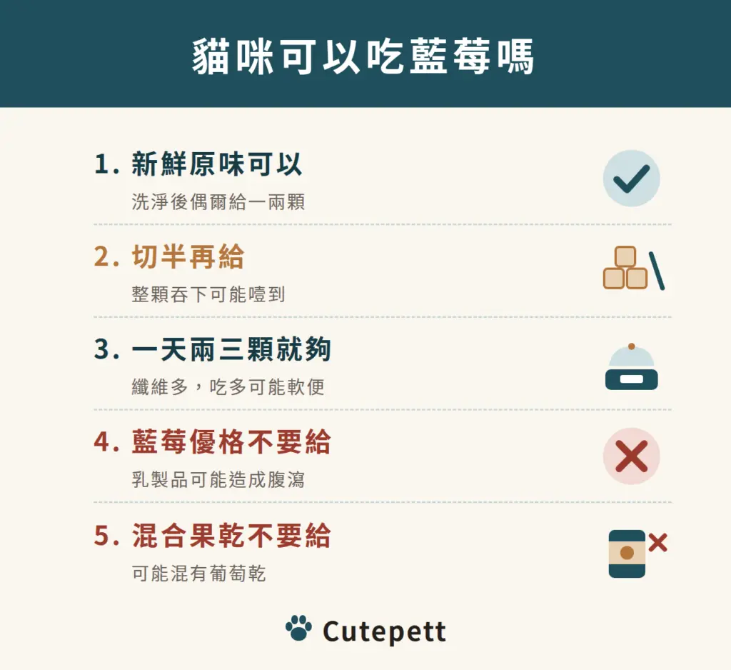 貓咪可以吃藍莓嗎：新鮮原味可以；切半再給避免噎到；一天兩三顆就夠；藍莓優格不要給；混合果乾可能有葡萄乾不要給