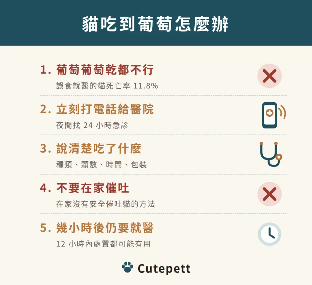 貓吃到葡萄怎麼辦:葡萄與葡萄乾都不能給;立刻打電話給動物醫院或 24 小時急診;說明種類、顆數、時間;不要在家催吐;吃下幾小時後仍要就醫