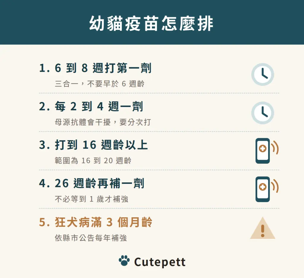 幼貓疫苗怎麼排：6 到 8 週打第一劑三合一，每 2 到 4 週一劑，打到 16 週齡以上，26 週齡再補一劑，狂犬病疫苗滿 3 個月齡施打並依縣市公告每年補強